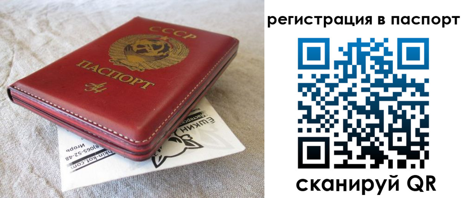 где прописаться в Плавске